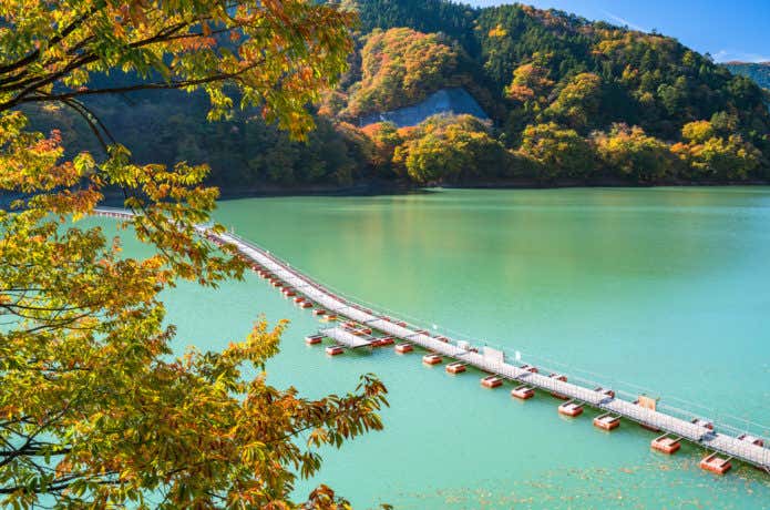 麦山の浮橋