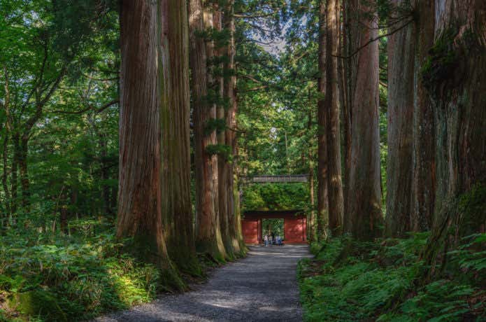 戸隠神社
