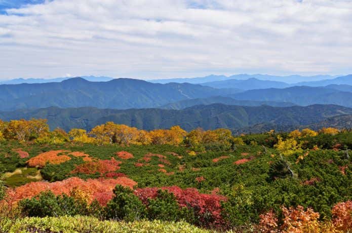 乗鞍岳の紅葉のコントラスト