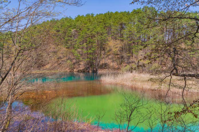 五色沼 みどろ沼