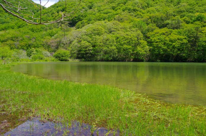 室の内