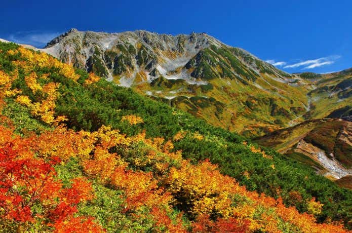 立山　紅葉