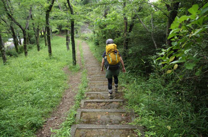 登山 半ズボン