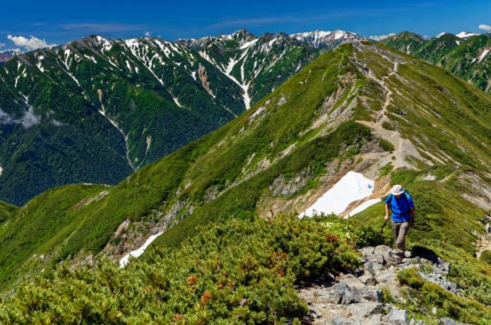 夏山登山者