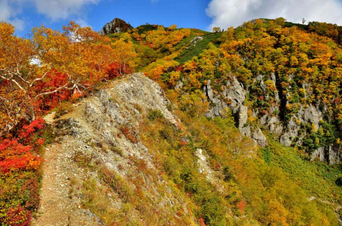 涸沢の紅葉