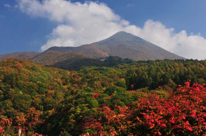 磐梯山 紅葉 ゴールデンライン