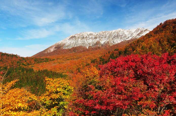 大山 紅葉