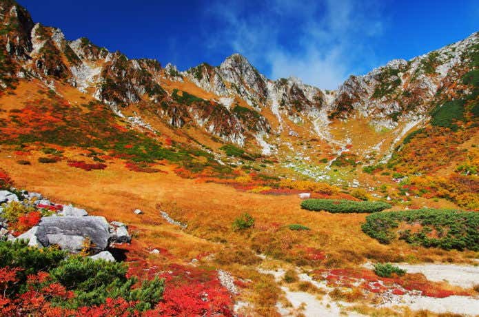 紅葉　木曽駒ケ岳