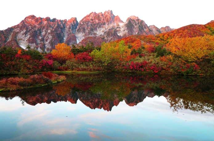 紅葉の劔岳のモルゲンロート