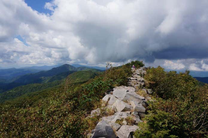 空沼岳山頂付近