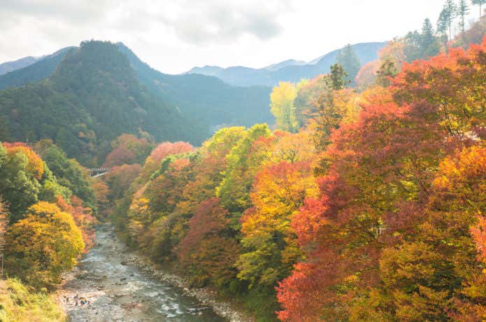 氷川渓谷の紅葉