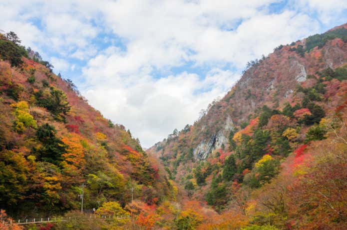日原渓谷の紅葉