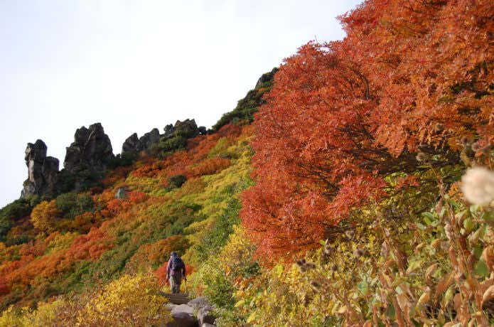 紅葉の時期の黒岳