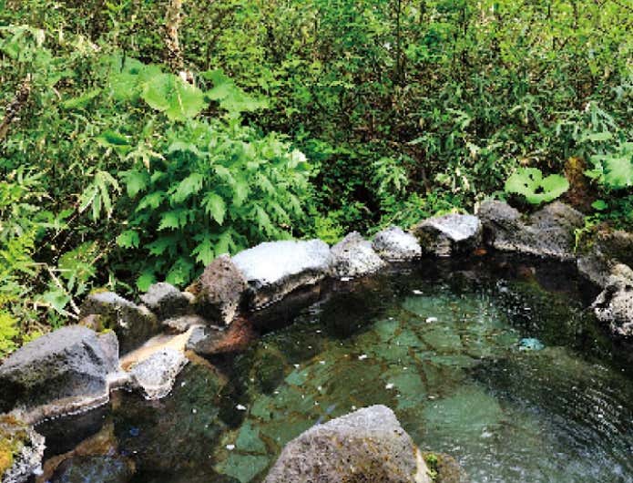 白樺荘　温泉
