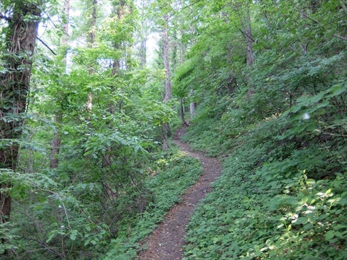 三瓶山 登山道