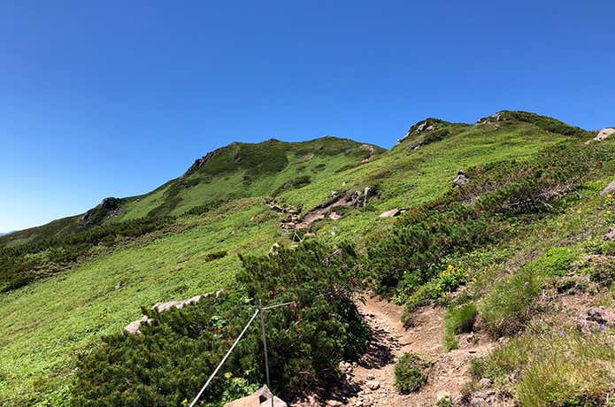 富良野岳・山頂までの登山道
