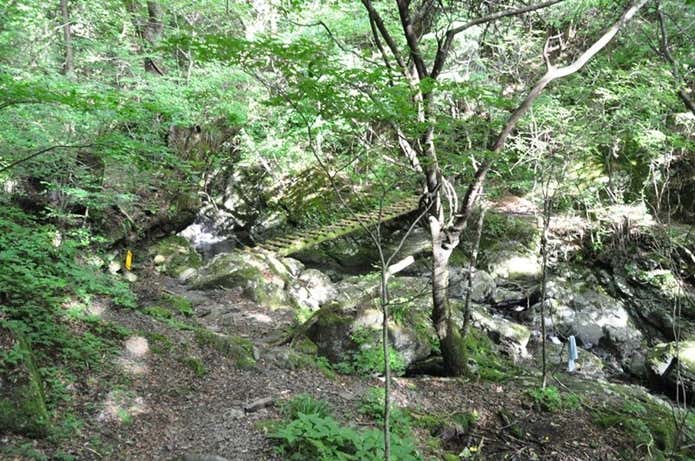 東赤石山　登山道