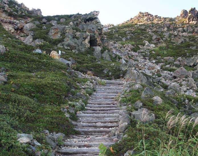 登山道