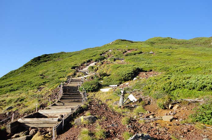 富良野岳の登山道