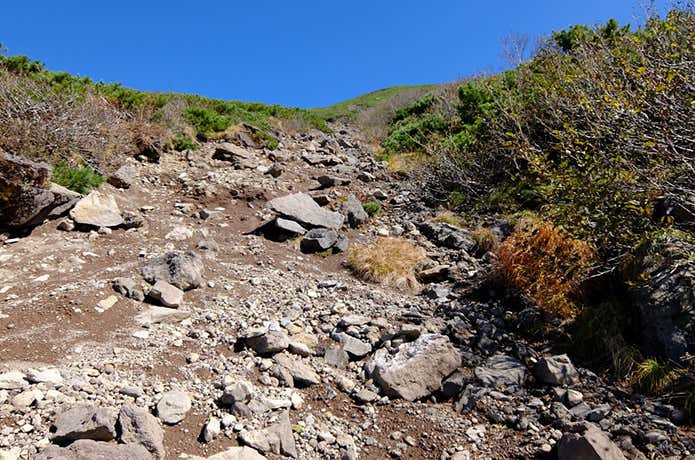 富良野岳・ザレ場