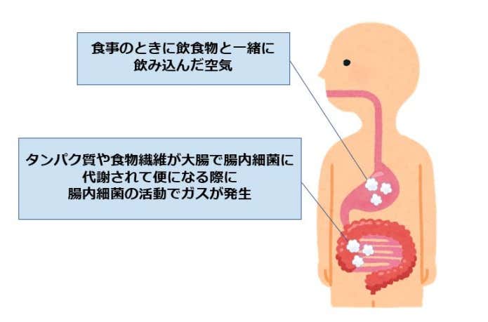 おならの仕組み