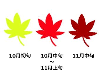 大台ヶ原山の紅葉見頃