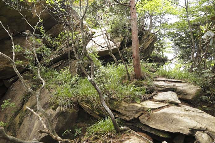 東赤石山　山頂前の岩