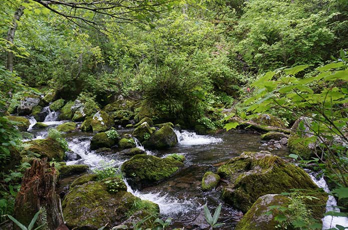 富良野岳・渡渉地点