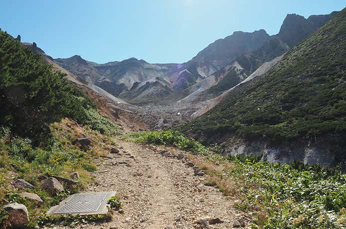 富良野岳の登山道