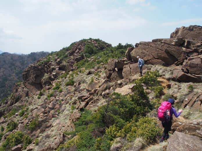東赤石山　登山道