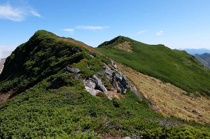 富良野岳山頂へと続く道