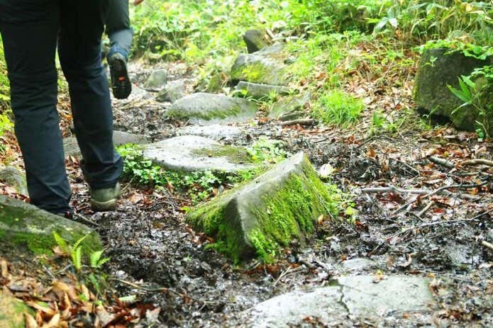 つぶ沼登山道