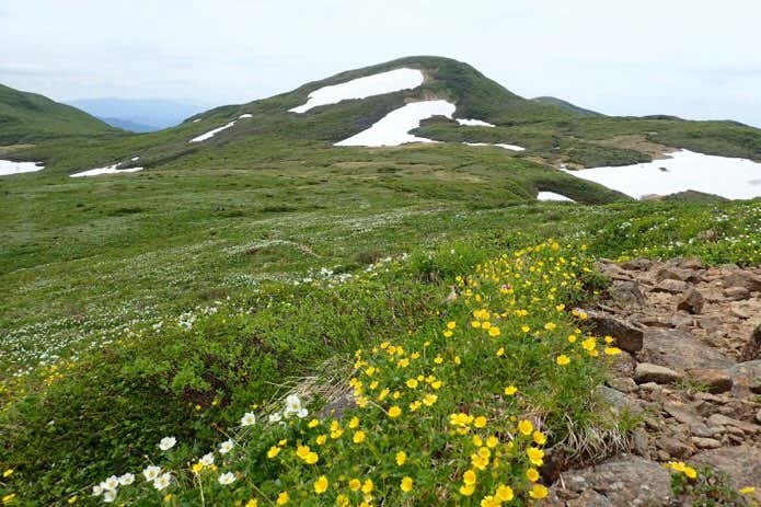 東焼石岳から望む焼石岳
