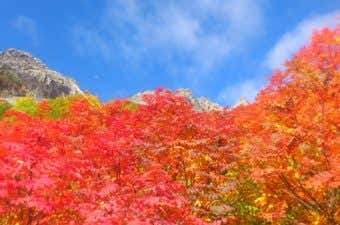 涸沢紅葉を楽しむヒント
