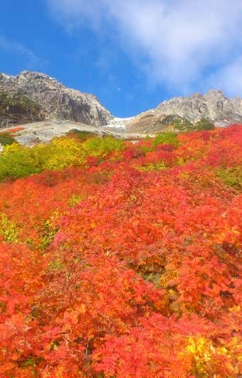 うっとりする景色