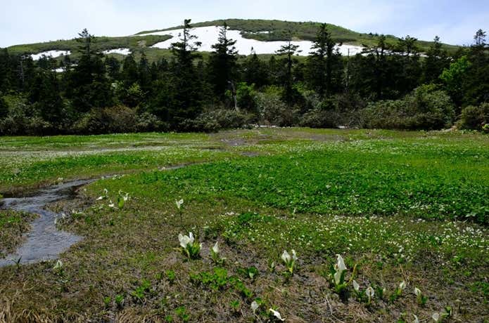 山人平
