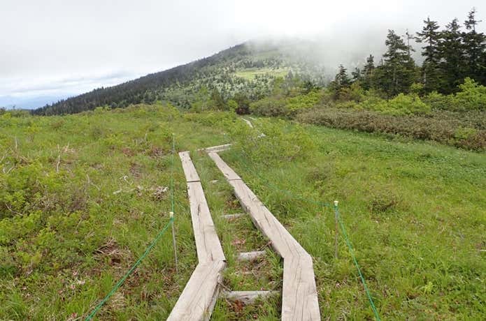 登山道