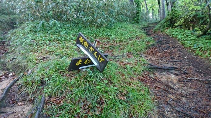 分岐の画像