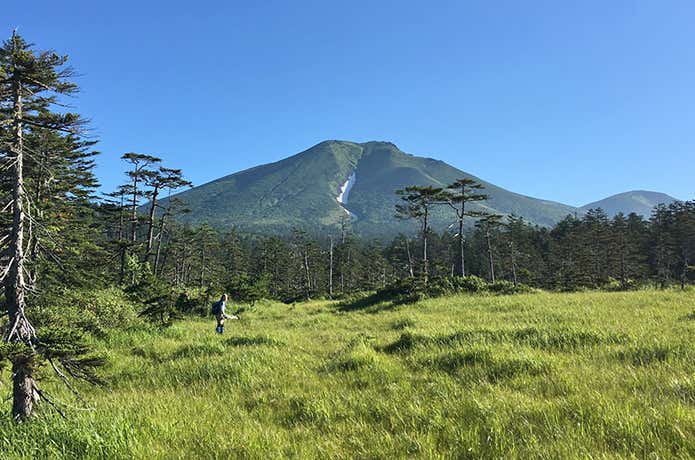 湿原と富良野岳