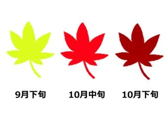 日光白根山紅葉の見頃