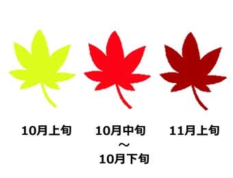 八甲田山紅葉時期