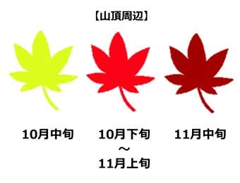六甲山山頂の紅葉見頃