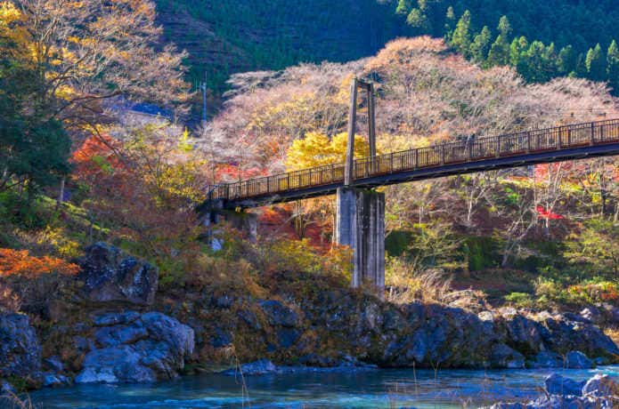 杣の小橋