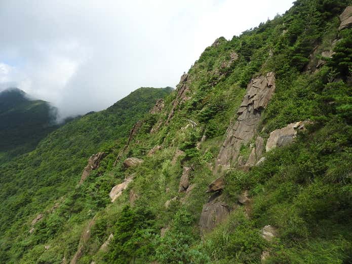 東赤石山　岩場