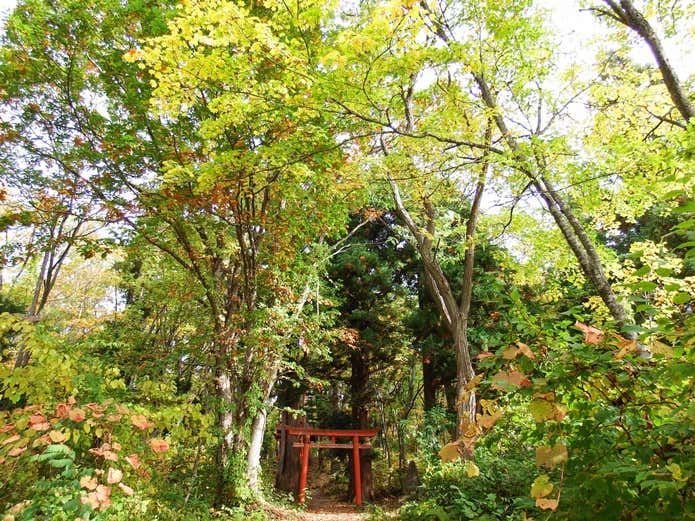 岩木山獄コース登山口