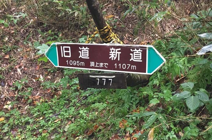 黄金山分岐