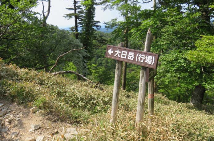 大日岳 分岐