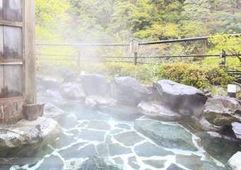 かくれ湯の里　信玄館