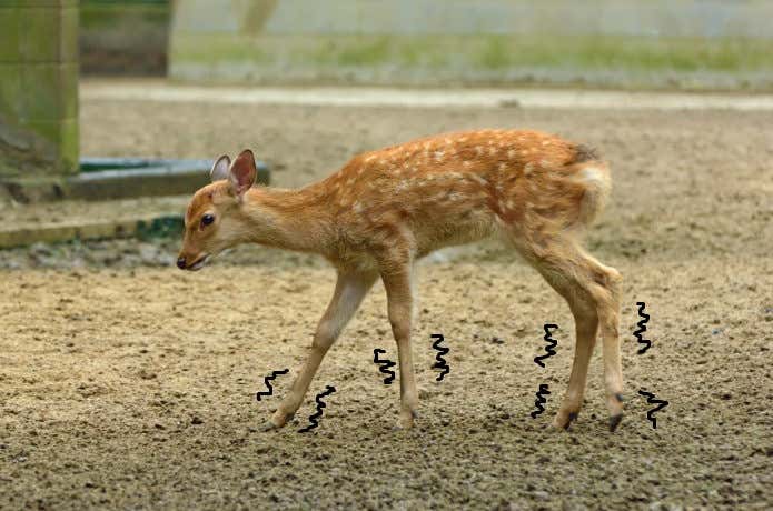 足がガクガク