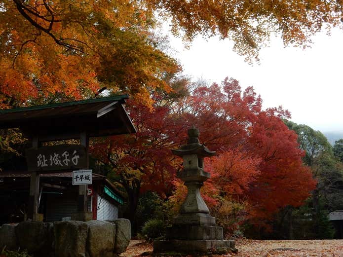 紅葉期の金剛山